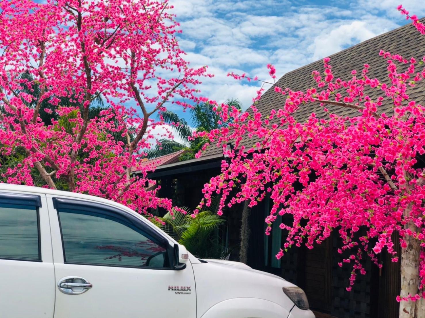 Kob Suk Resort K7 , K10 锡春 外观 照片