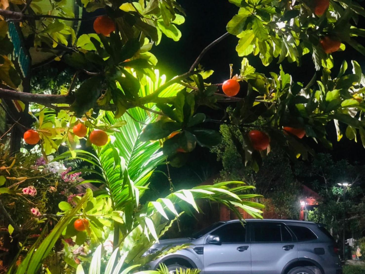 Kob Suk Resort K7 , K10 锡春 外观 照片
